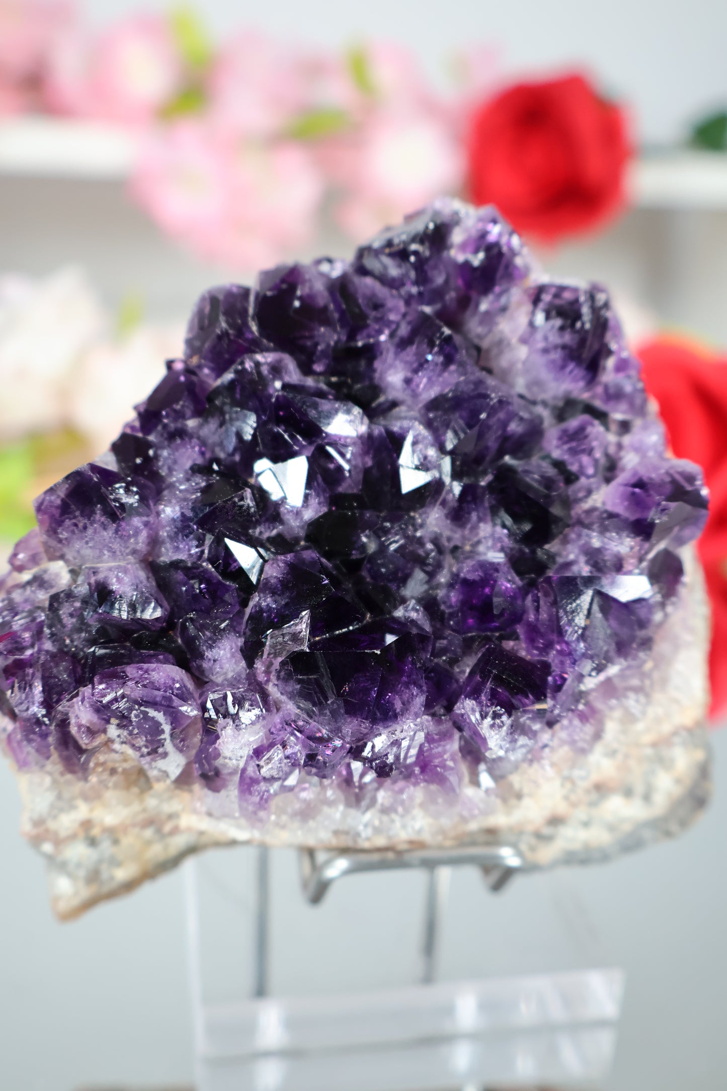 Amethyst Cluster | AC5