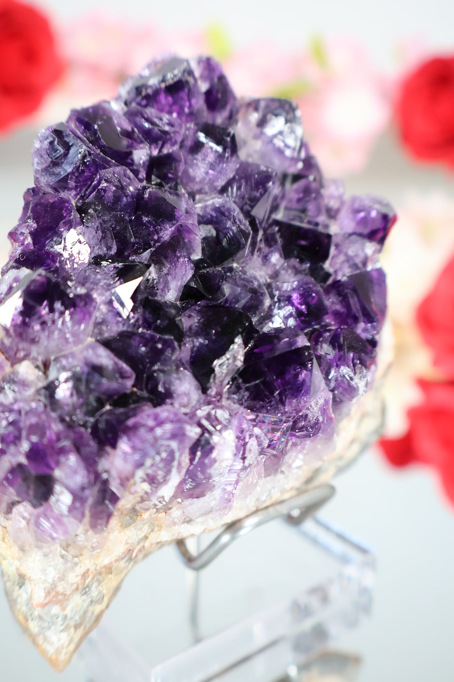 Amethyst Cluster | AC5