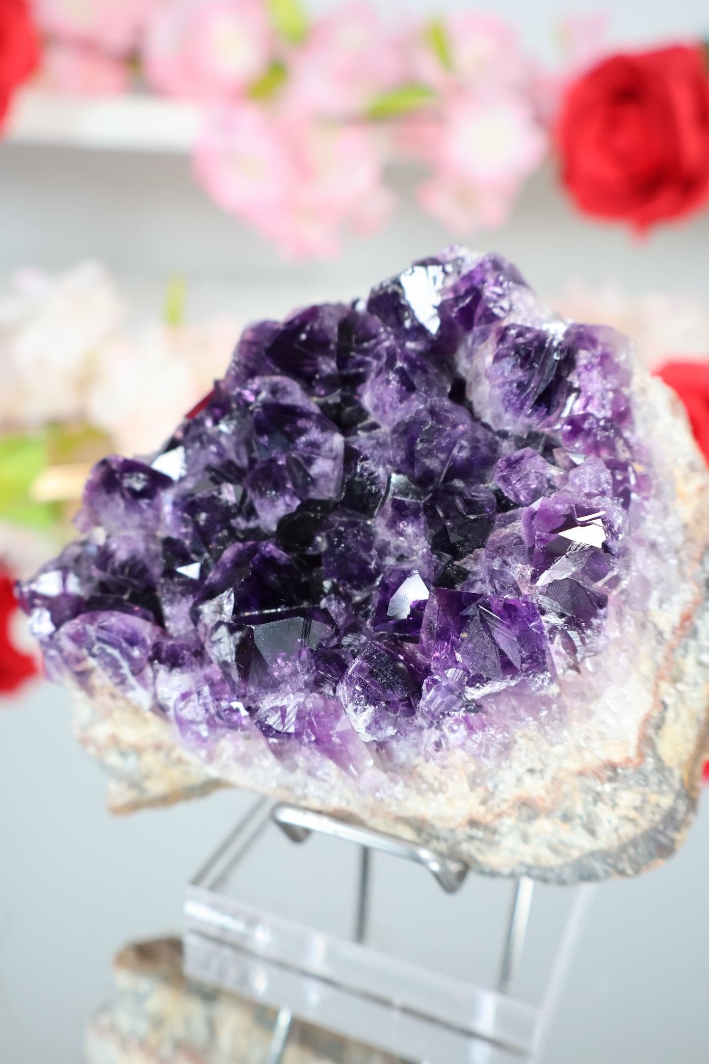 Amethyst Cluster | AC5