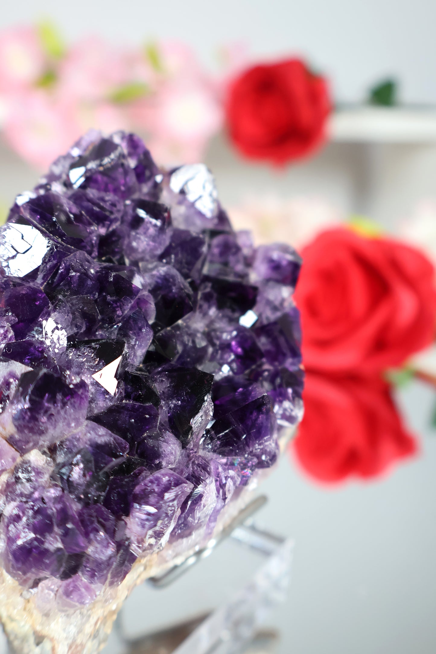 Amethyst Cluster | AC5