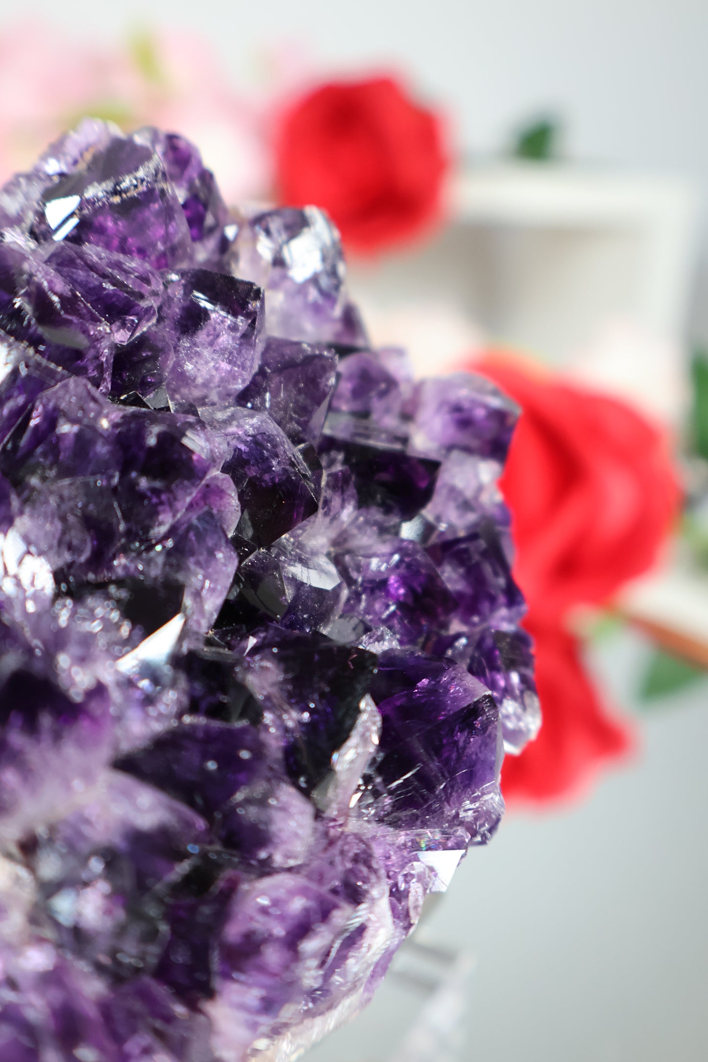 Amethyst Cluster | AC5