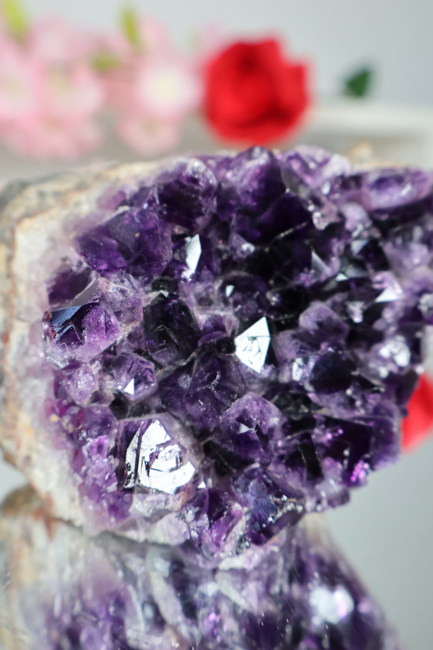 Amethyst Cluster | AC5