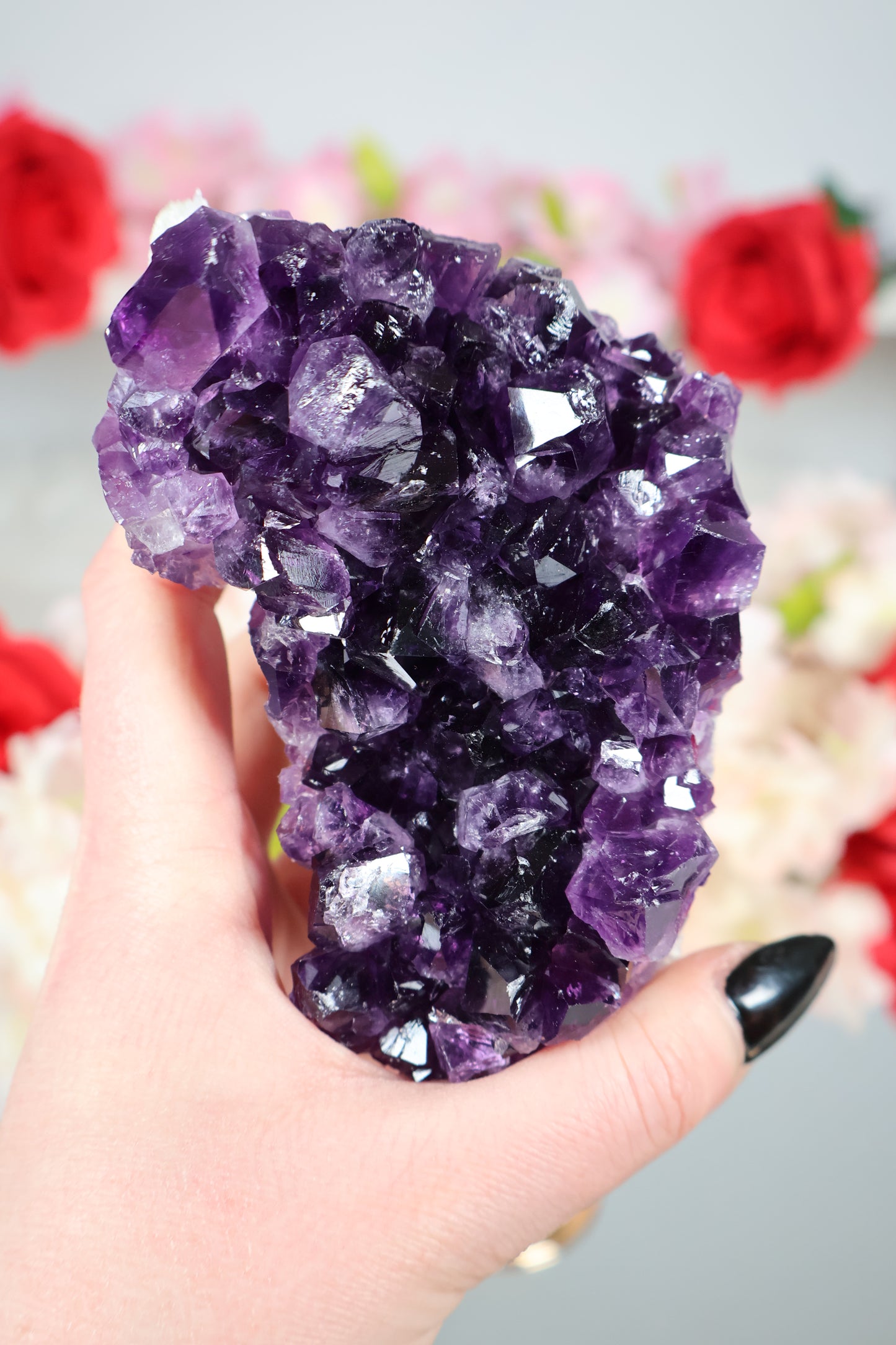 Amethyst Cluster | AC7