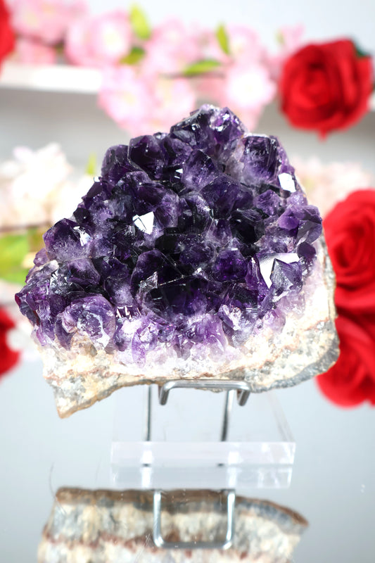Amethyst Cluster | AC5
