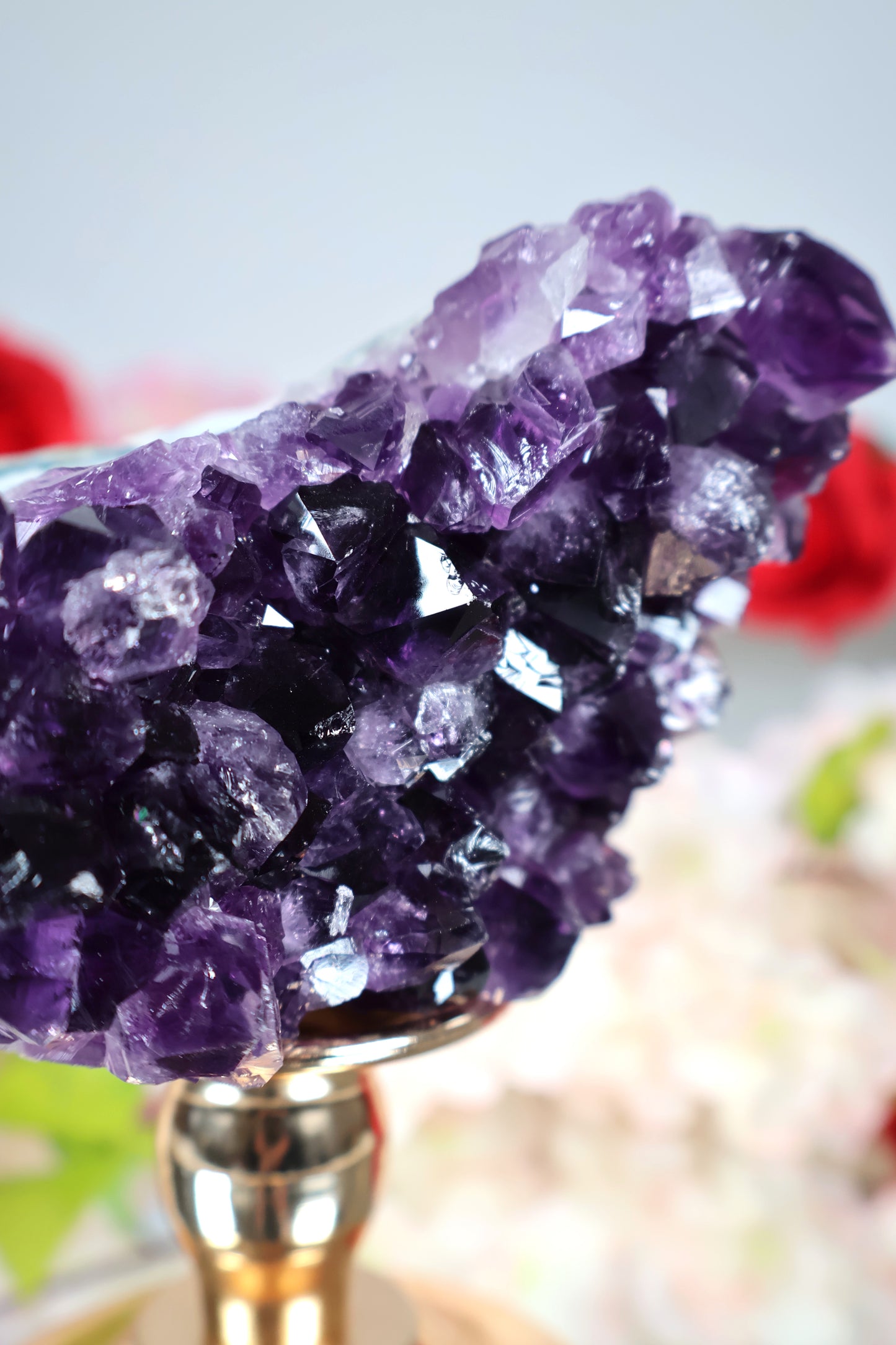 Amethyst Cluster | AC7