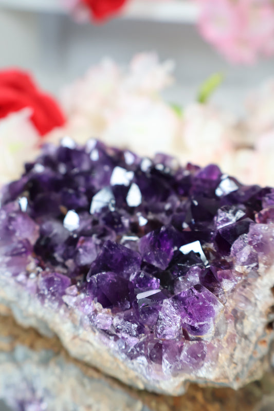 Amethyst Cluster | AC4